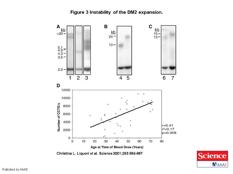 Figure 3 Instability of the DM2 expansion.  Christina L. Liquori et al. Science